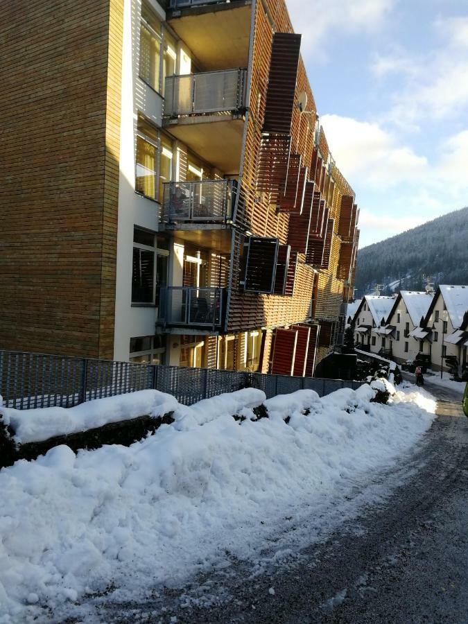 Rodinny Apartman Harrachov 606 Dış mekan fotoğraf